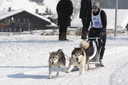 Lenk 2012 SM